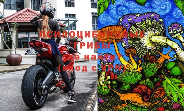 ГАЛЛЮЦИНОГЕННЫЕ ГРИБЫ Алексеевка