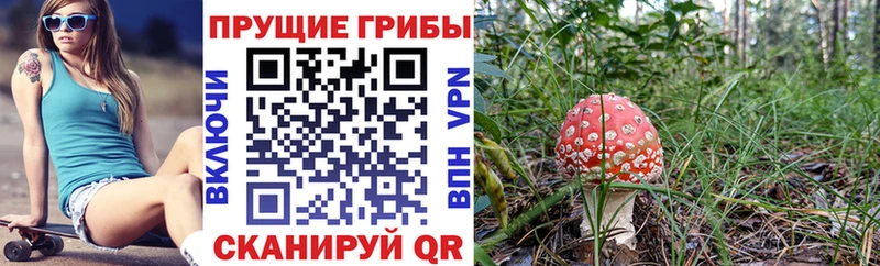 Галлюциногенные грибы ЛСД  Богучар 